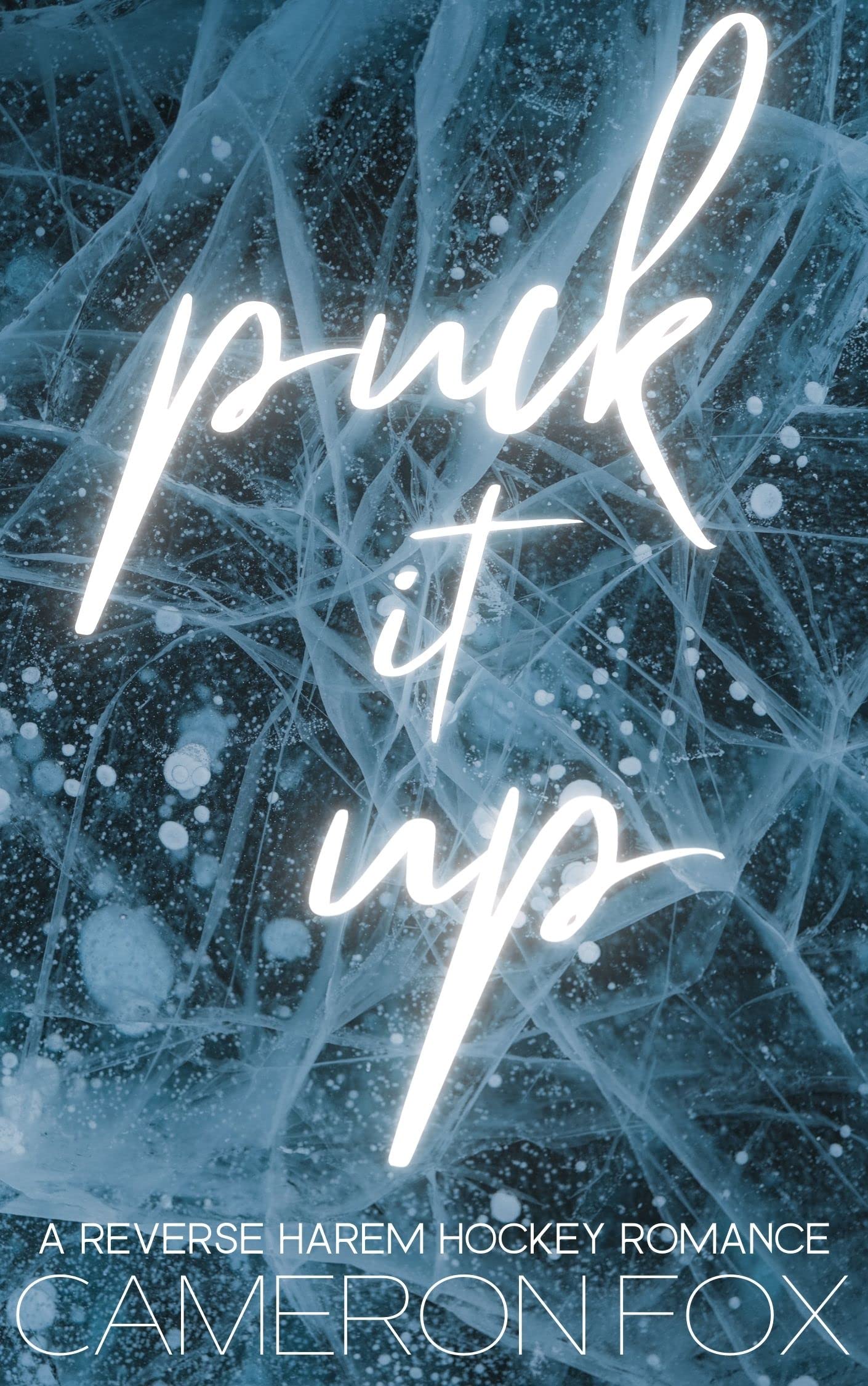 Puck It Up