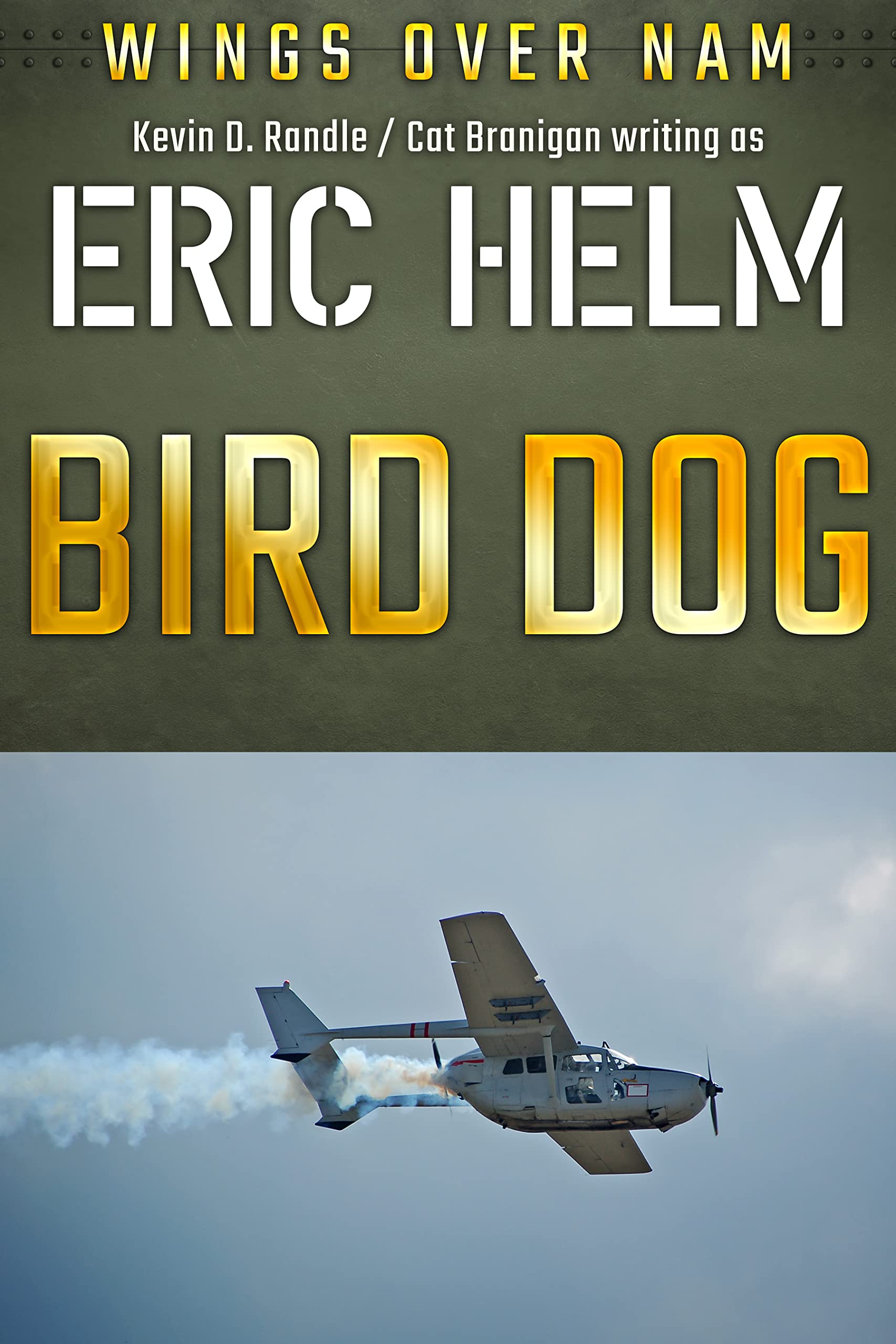 Bird Dog: A Wings Over Nam aviation thriller