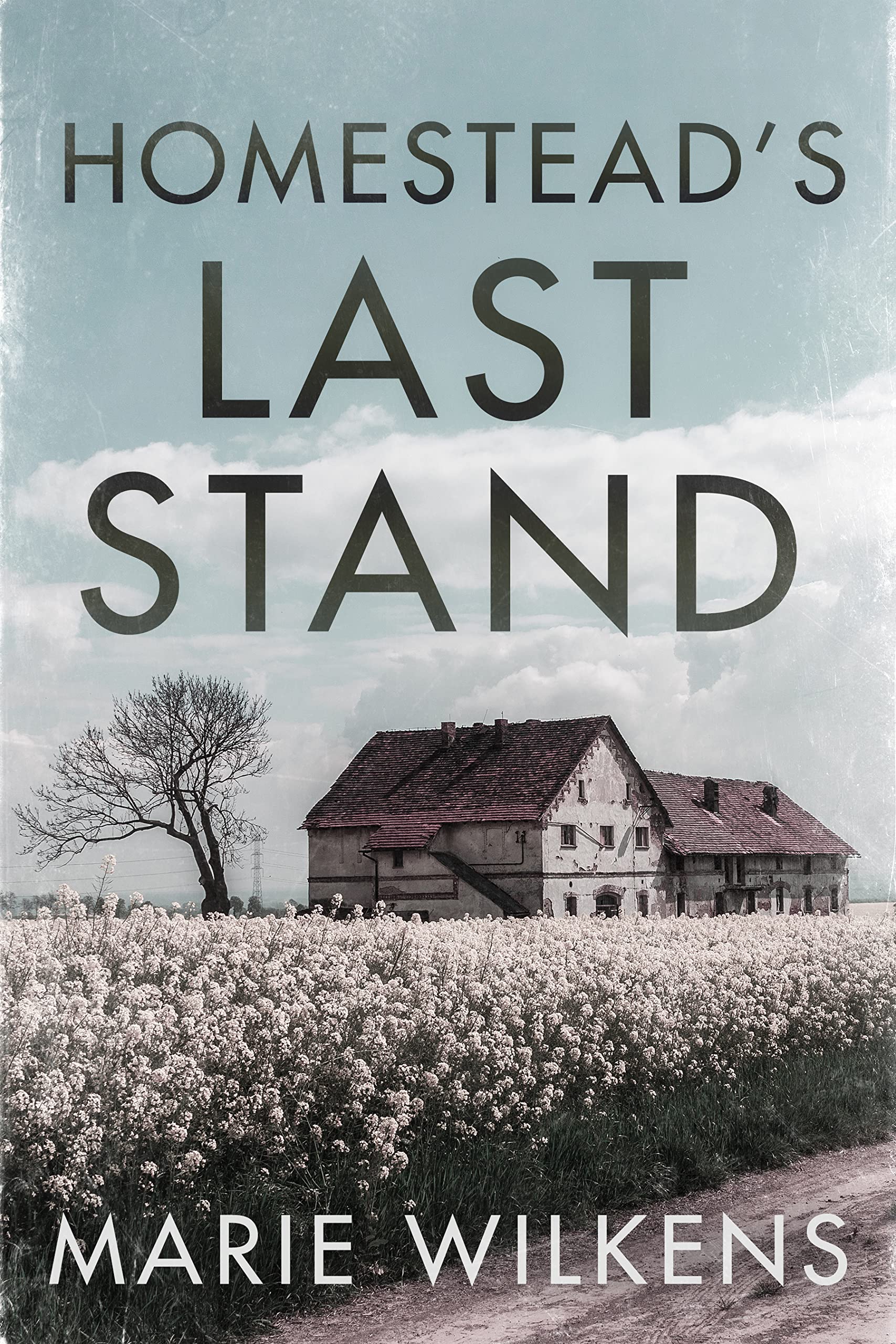 Homestead's Last Stand: A Small Town Post Apocalypse EMP Thriller Boxset