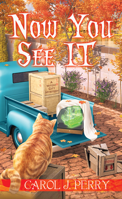 Now You See It book cover