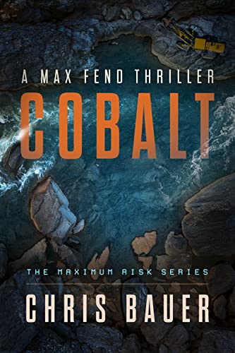 Maximum Risk book cover 1