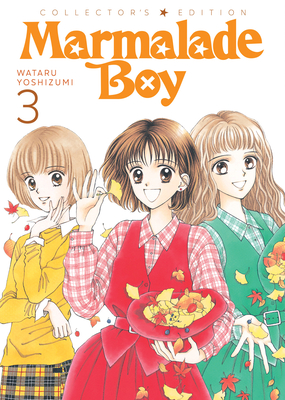 Marmalade Boy book cover 3