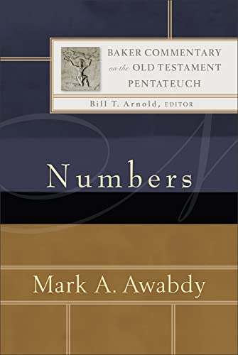 Numbers: (An Exegetical & Theological Bible Commentary - BCOT)