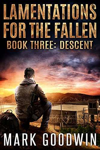Lamentations for the Fallen book cover 3
