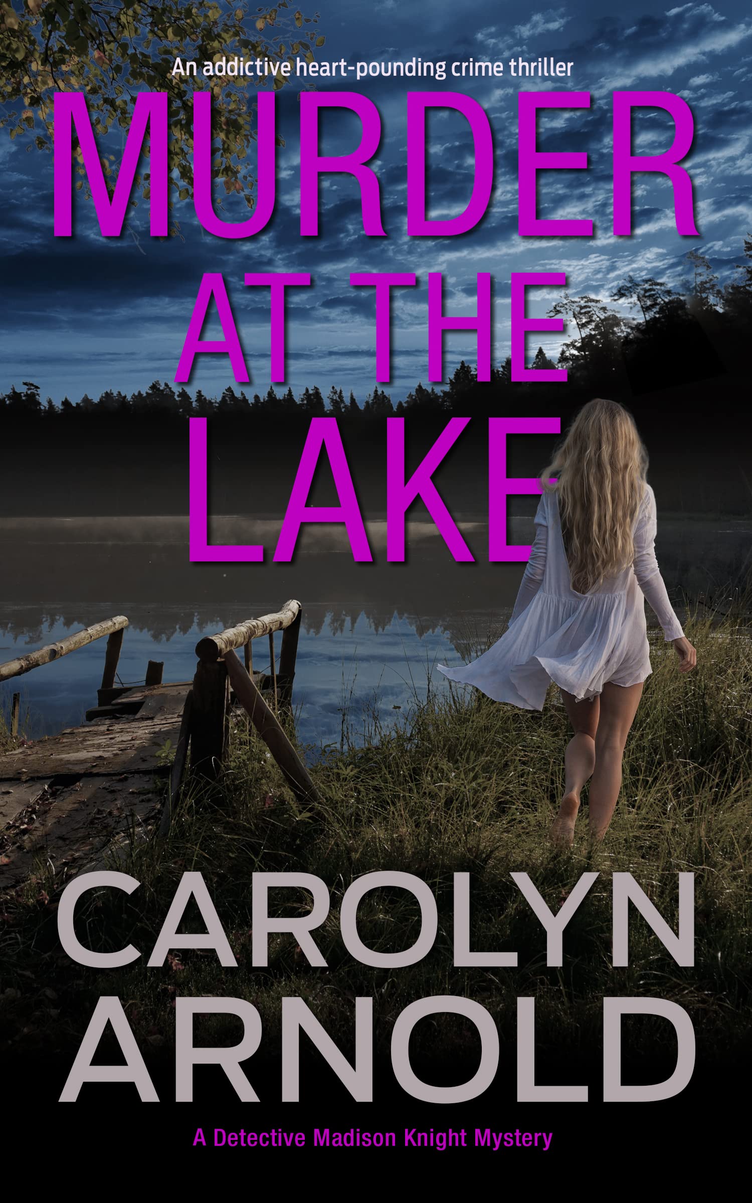Murder at the Lake book cover