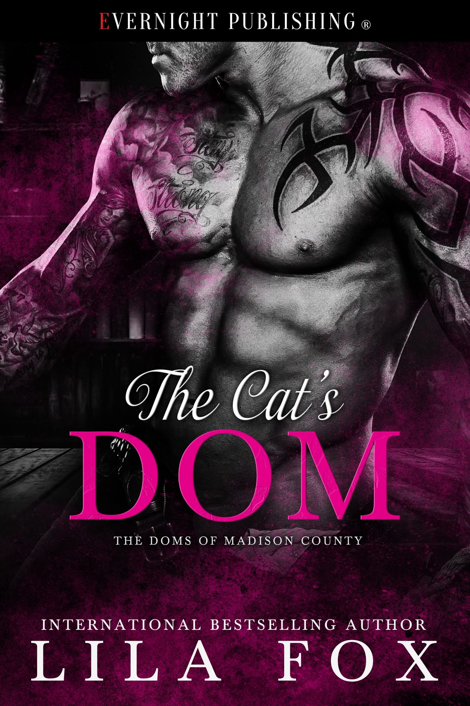 The Cat's Dom book cover