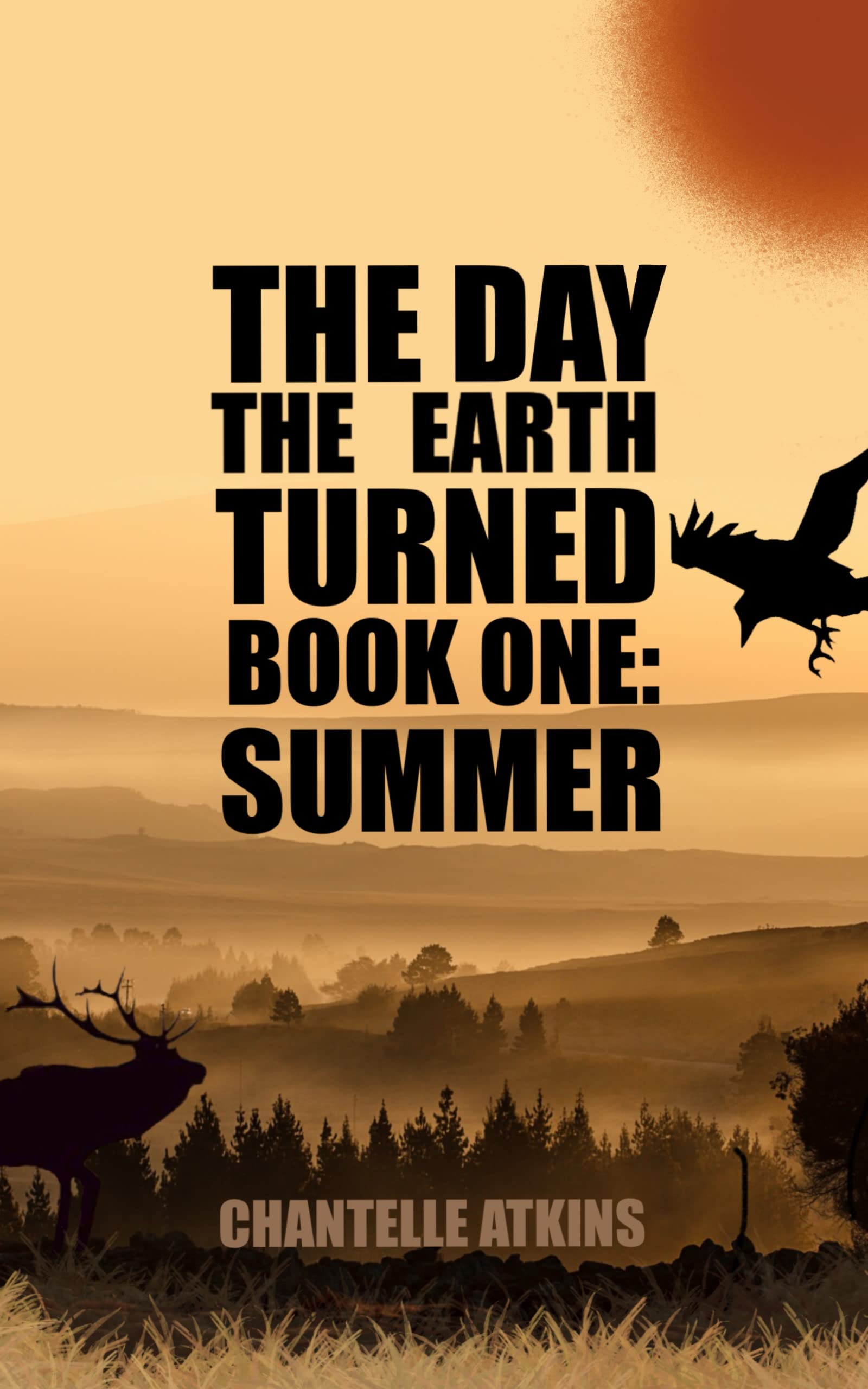 The Day The Earth Turned Book 1: Summer
