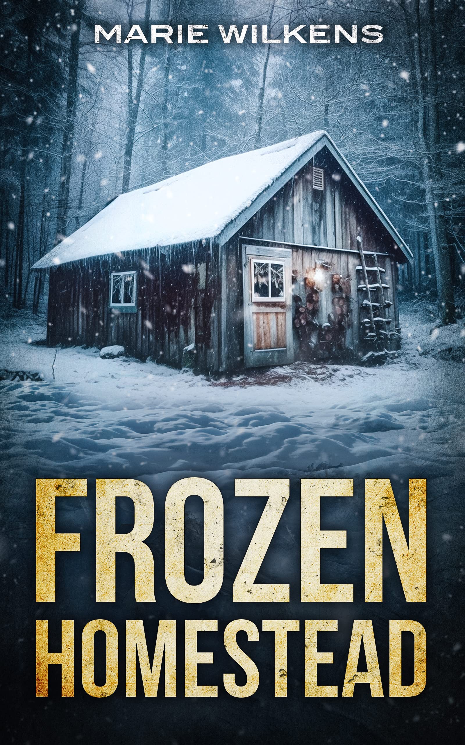 Frozen Homestead: A Small Town Post Apocalypse EMP Thriller Boxset