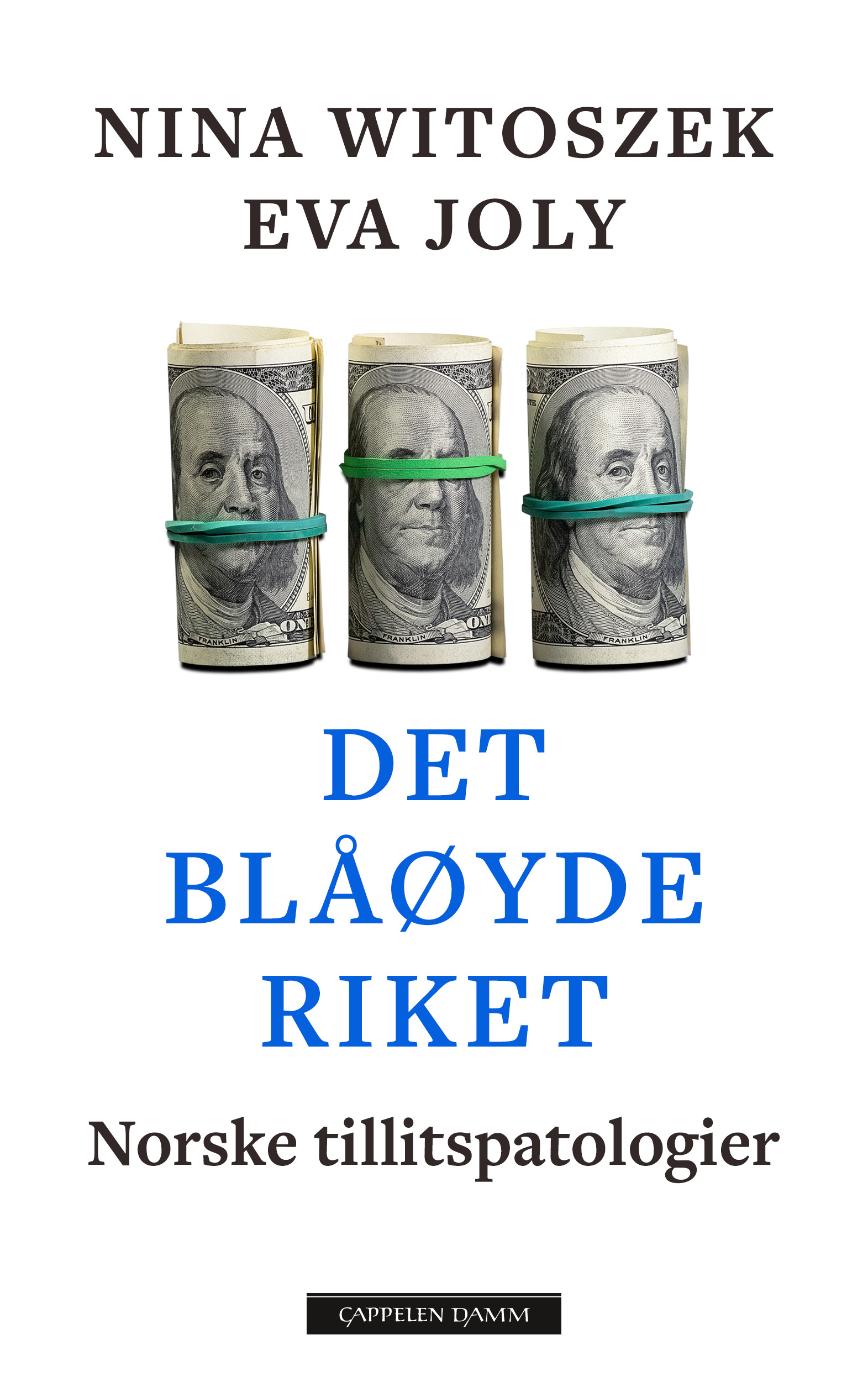 Det blåøyde riket book cover