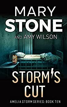 Storm's Cut book cover