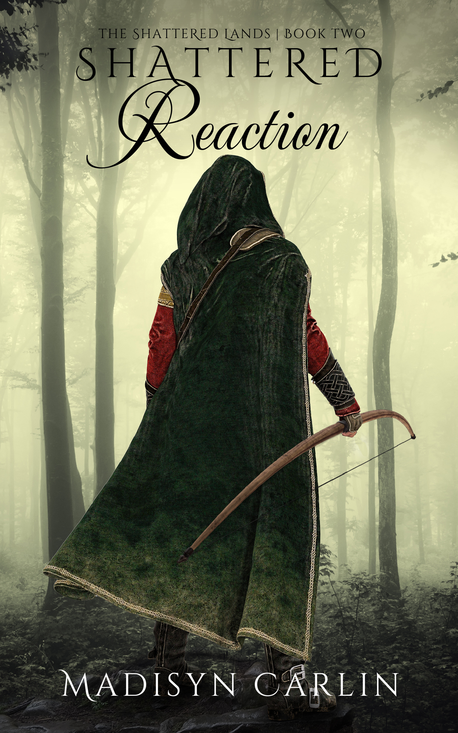 The Shattered Lands book cover 2