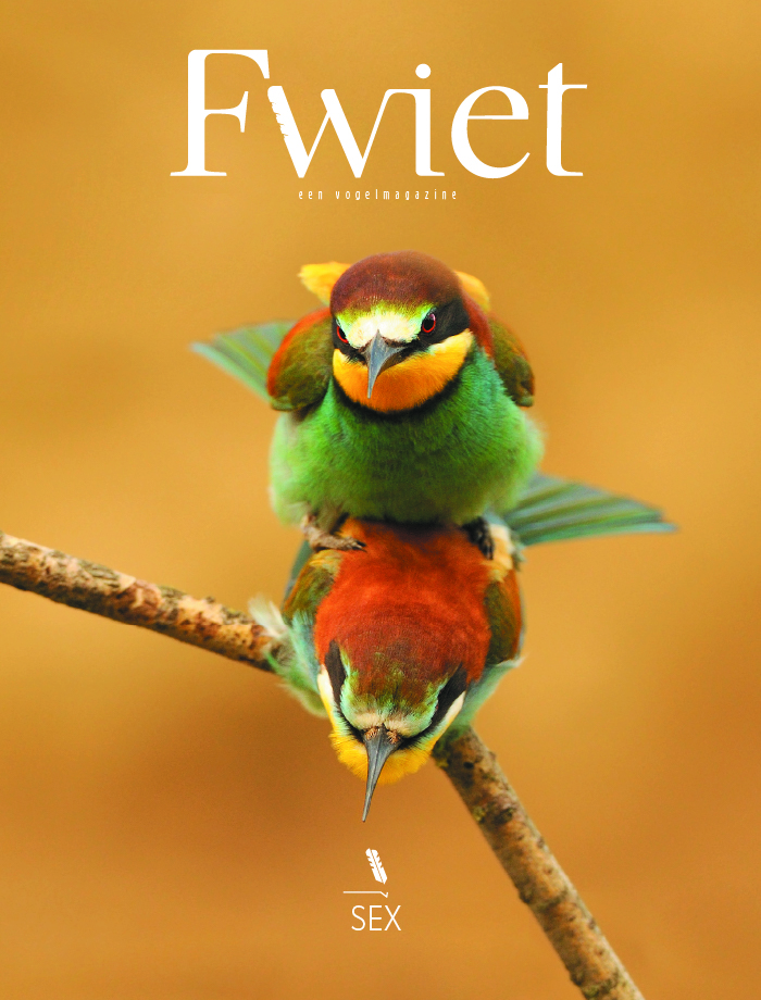 Fwiet #5: Sex