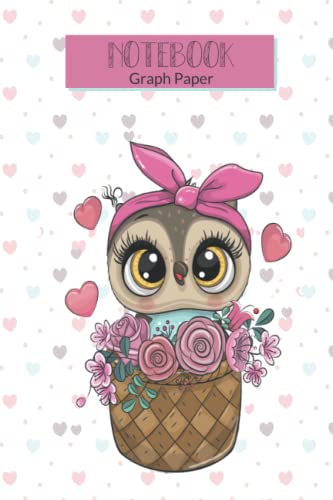 Graph Paper Notebook: Cute Owl Themed Graph Paper Notebook for Drawing ...