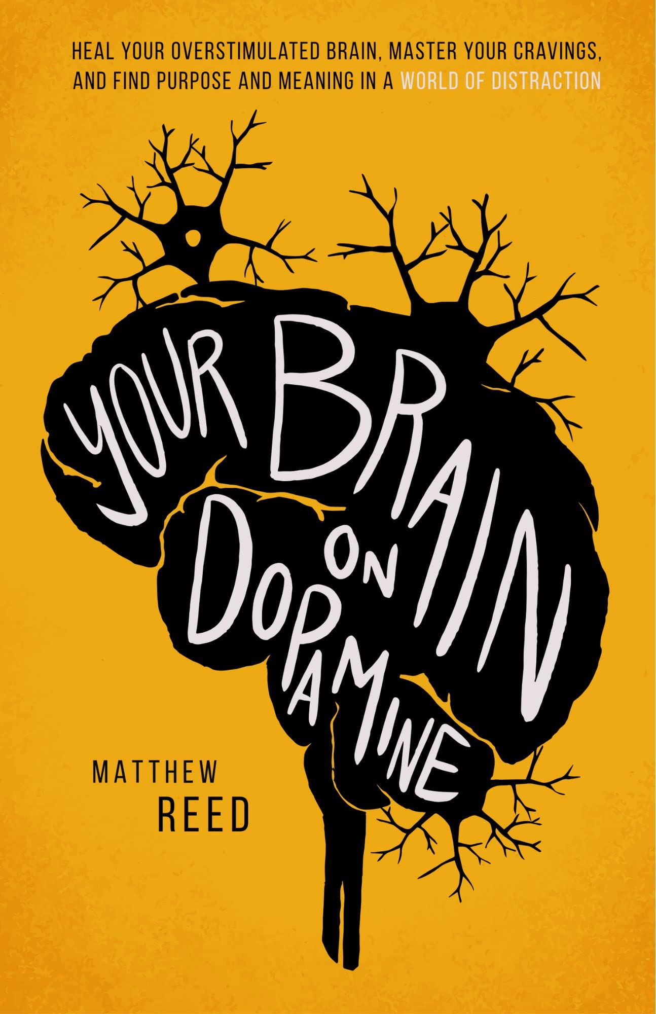 Your Brain on Dopamine: Heal Your Overstimulated Brain, Master Your Cravings, and Find Purpose and Meaning in a World of Distraction