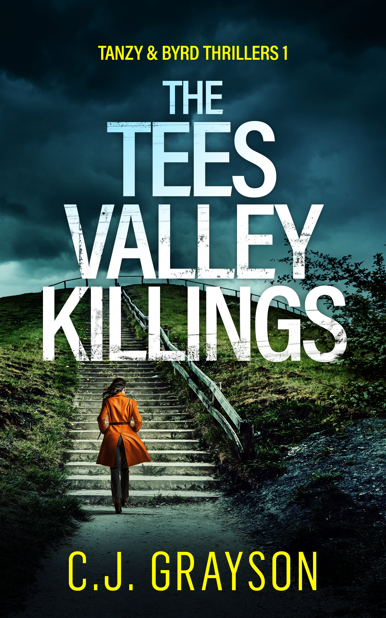 The Tees Valley Killings