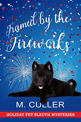 Framed by the Fireworks book cover