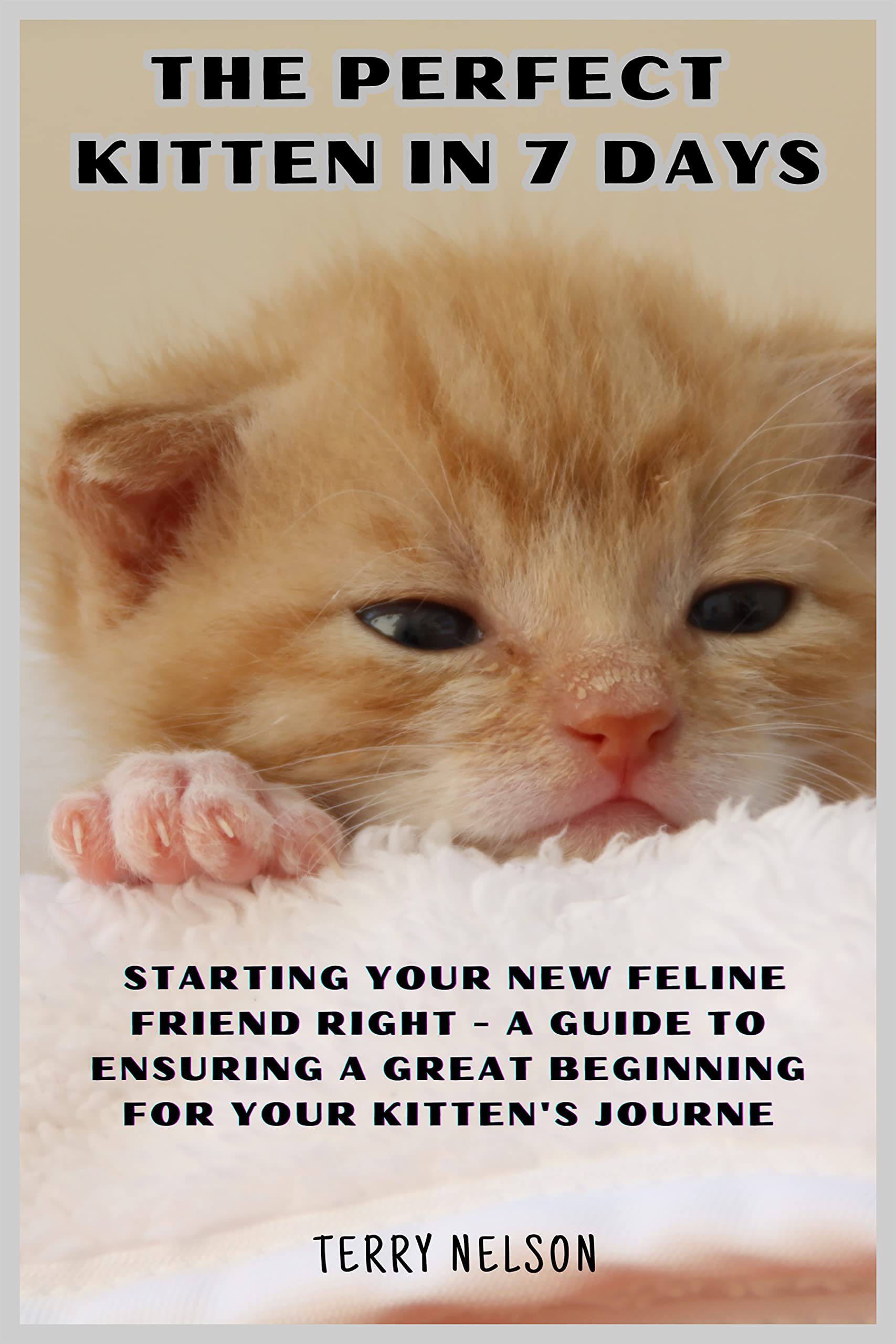 The Perfect Kitten in 7 Days Starting Your New Feline Friend Right A