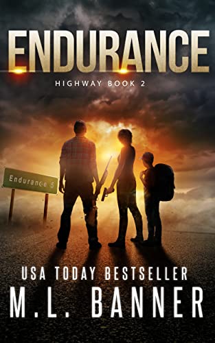 Endurance book cover