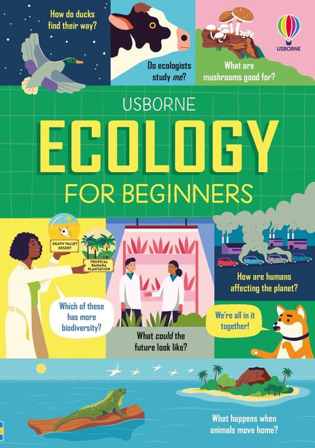 USBORNE For Beginners book cover 2