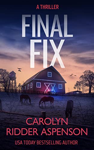 Final Fix book cover
