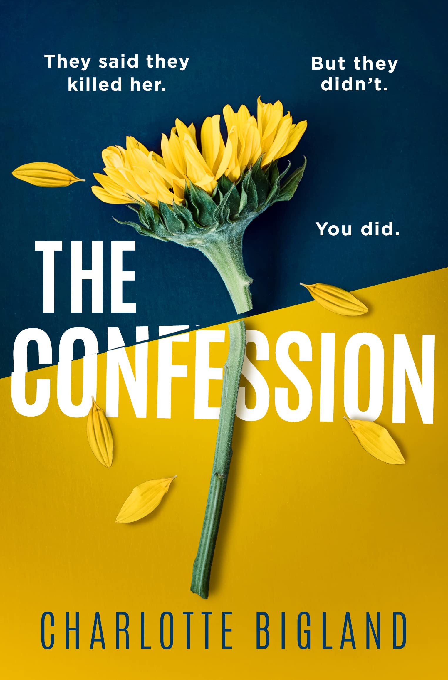 The Confession by Charlotte Bigland Goodreads