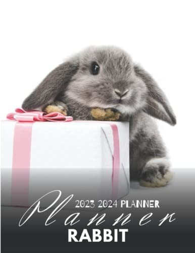 Rabbit 2023 2024 calendar: Bunnies Bunny Two Years monthly planner 2023