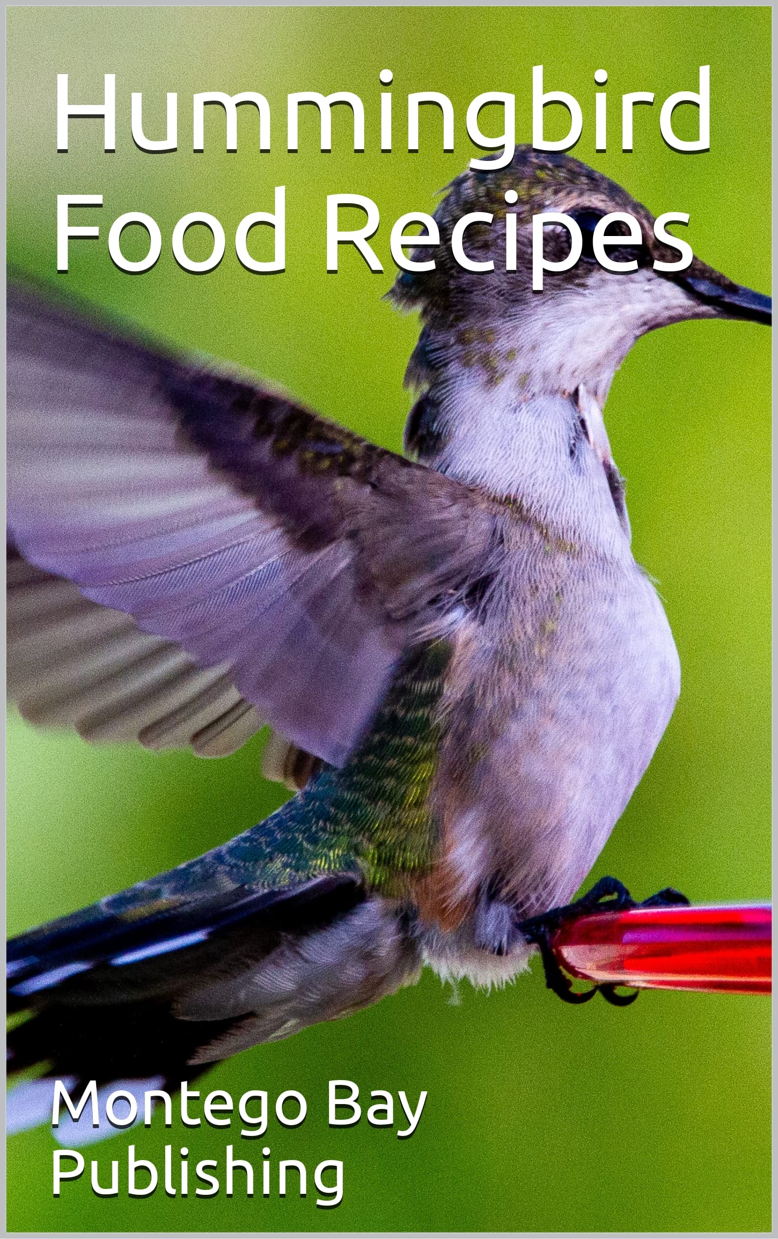 Hummingbird Food Recipes by Montego Bay Publishing Goodreads