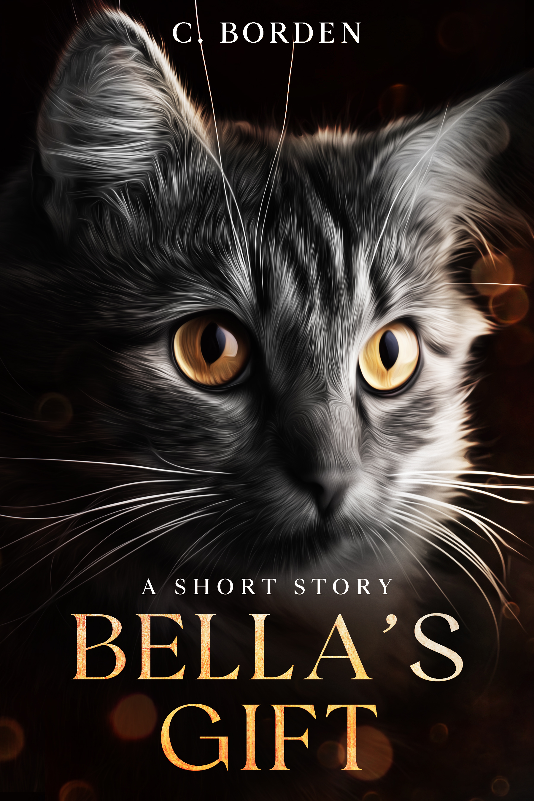 Bella's Gift by C. Borden Goodreads
