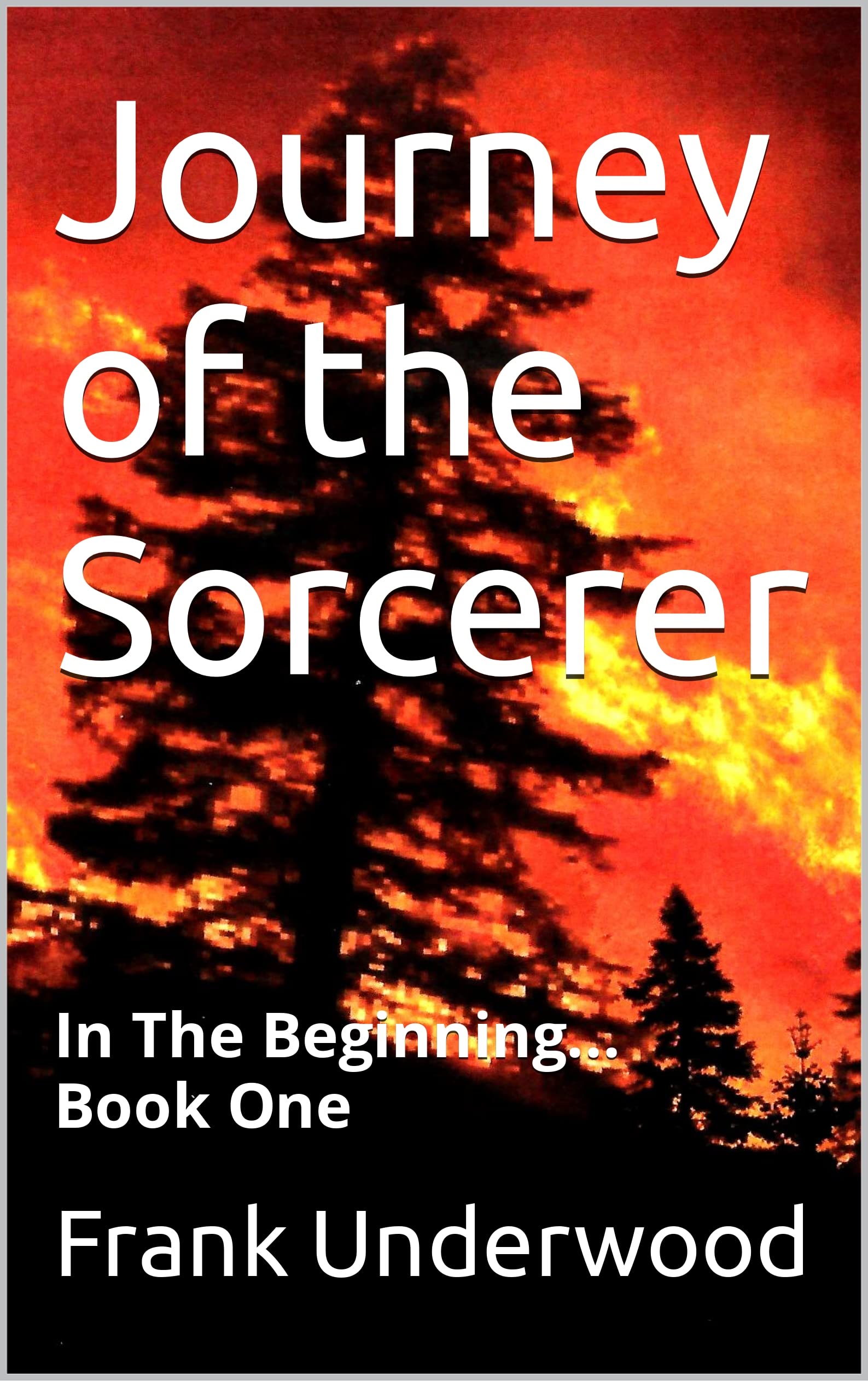 Journey of the Sorcerer: In The Beginning... Book One