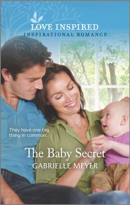 The Baby Secret book cover