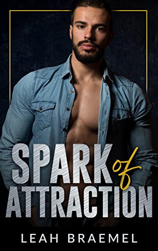 Spark of Attraction book cover