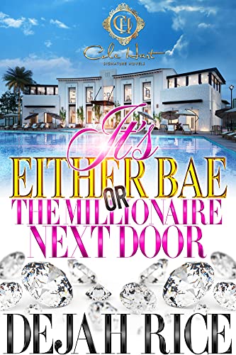 It's Either Bae Or The Millionaire Next Door book cover