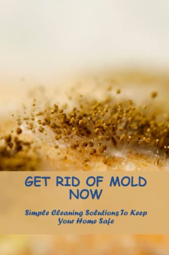 Get Rid Of Mold Now: Simple Cleaning Solutions To Keep Your Home Safe ...