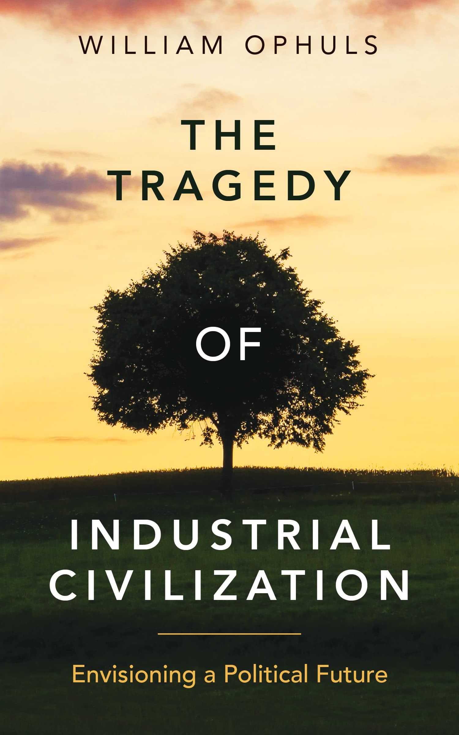 The Tragedy of Industrial Civilization: Envisioning a Political Future