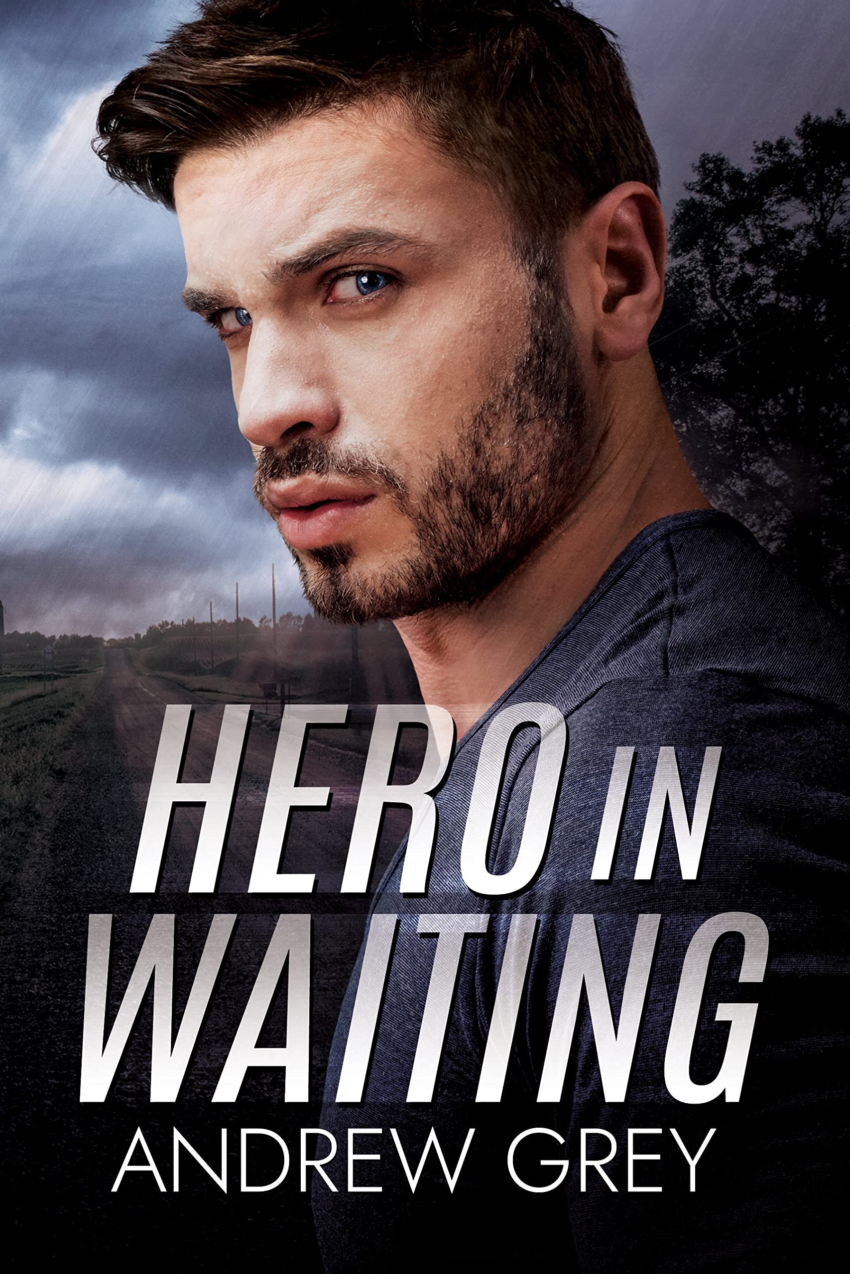 Hero in Waiting book cover