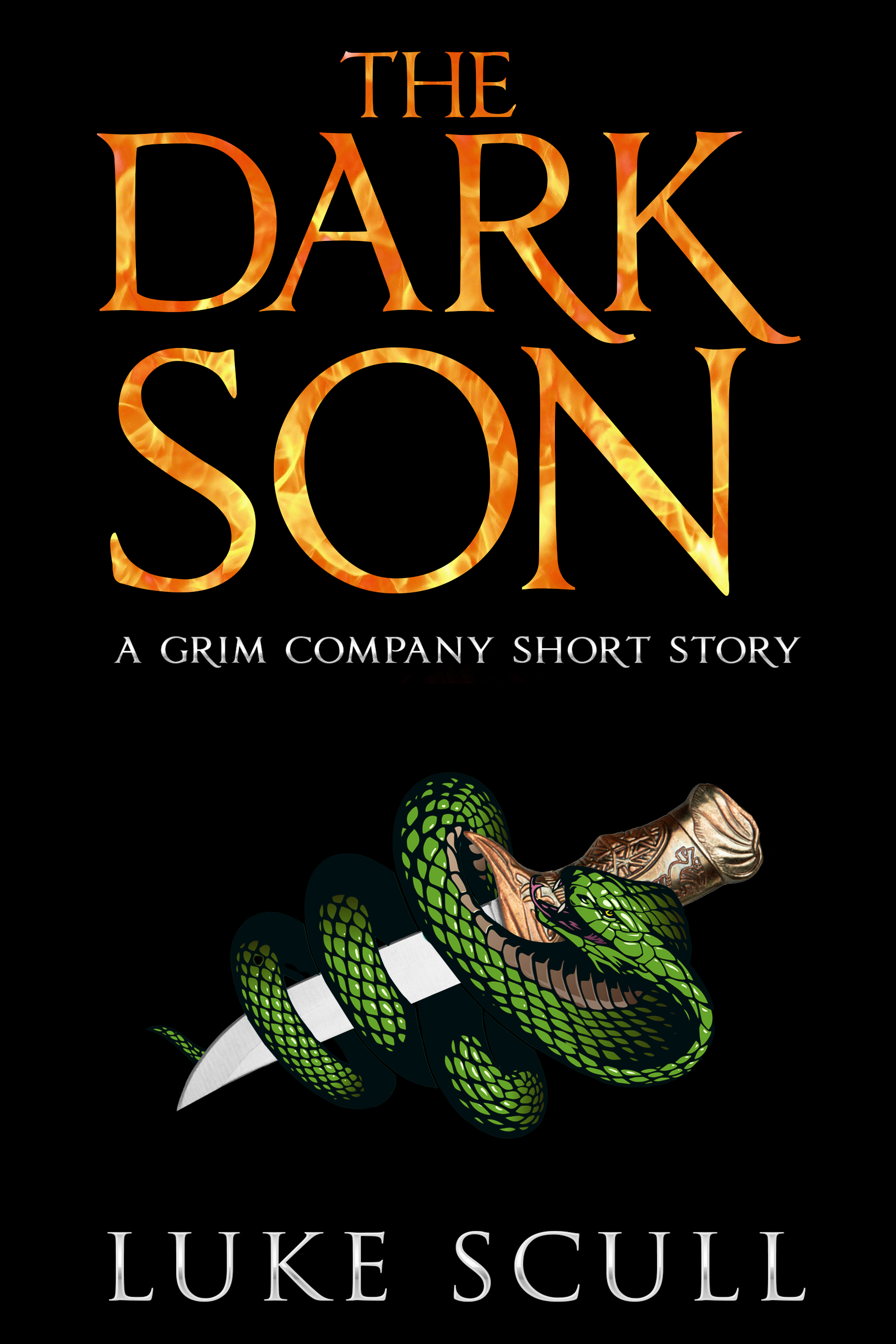 The Dark Son book cover