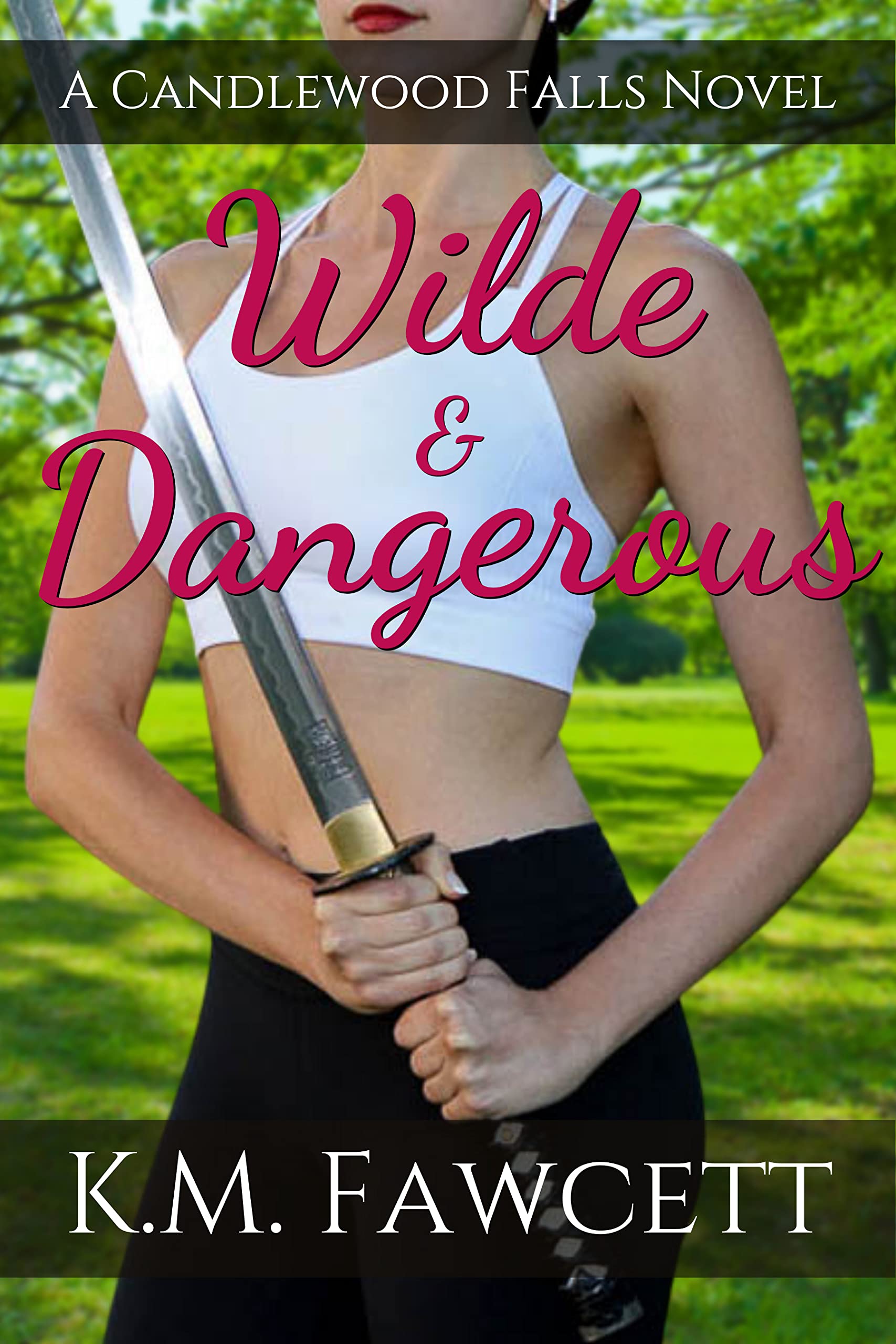 Wilde & Dangerous book cover