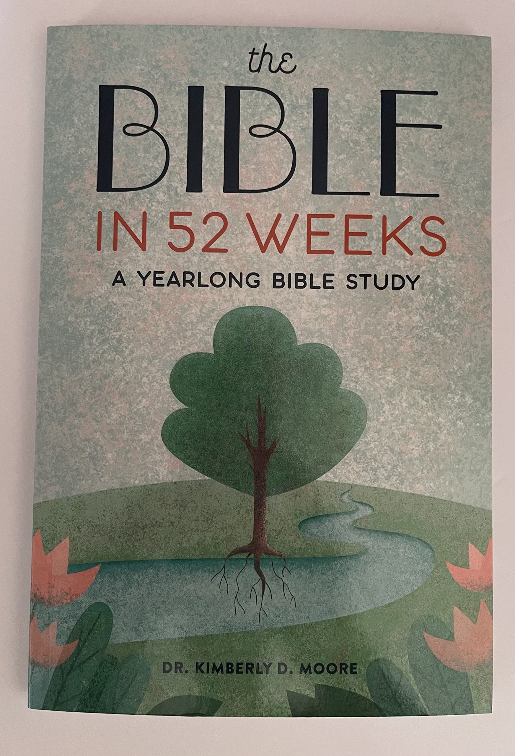 The Bible in 52 Weeks A Yearlong Bible Study by DMin Dr. Kimberly D ...