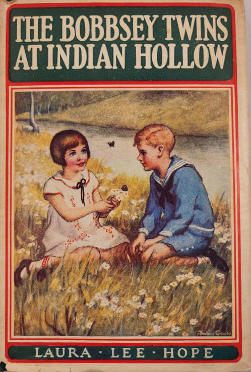 The Bobbsey Twins At Indian Hollow book cover