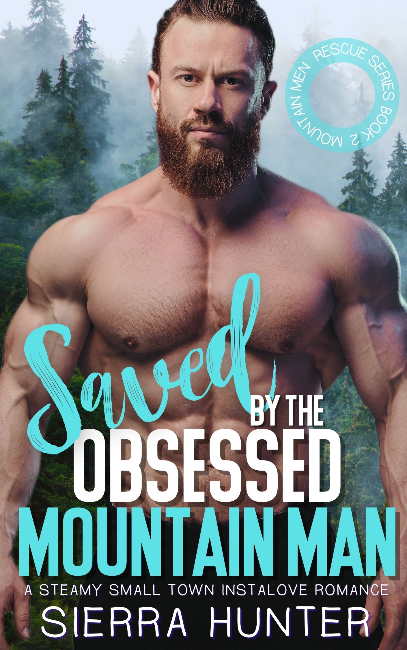 Mountain Men Rescue book cover 2