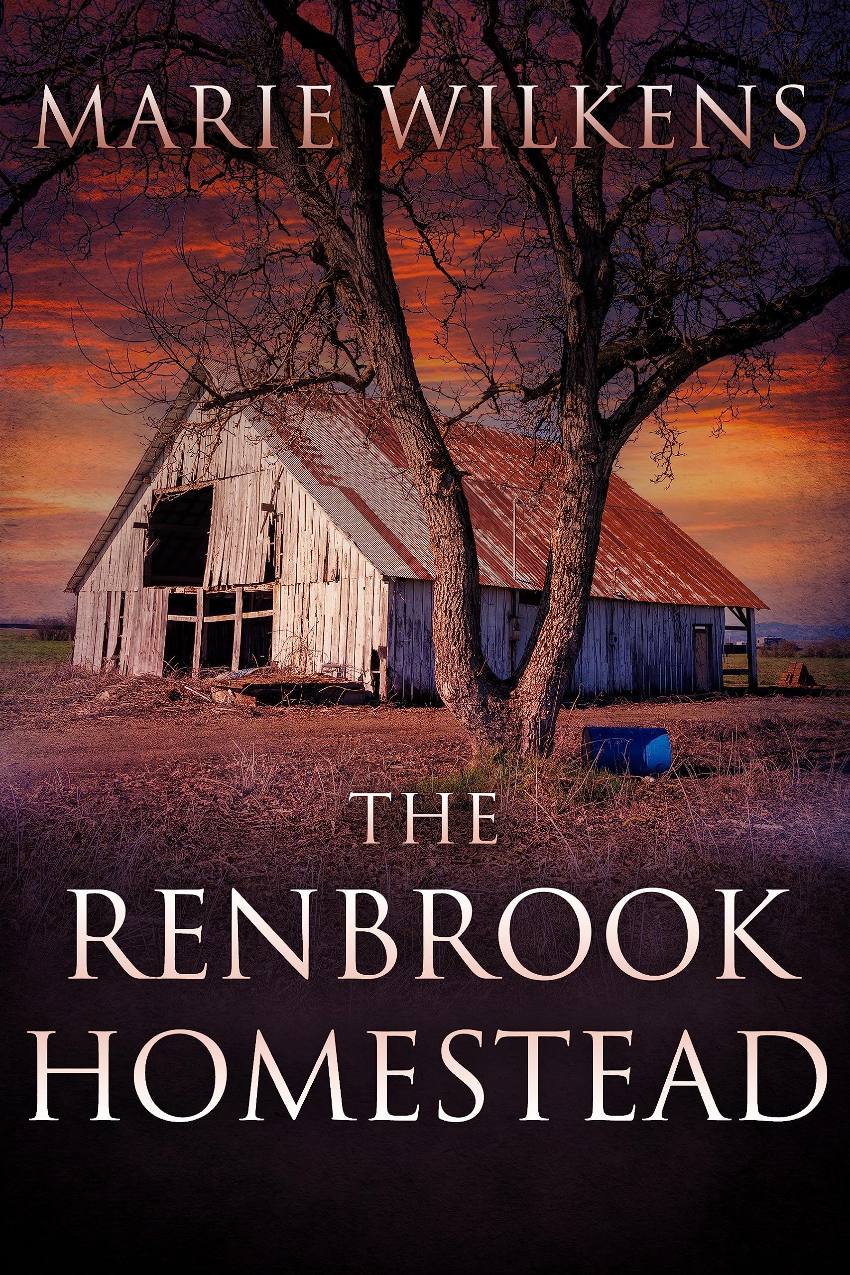 The Renbrook Homestead: A Small Town Post Apocalypse EMP Thriller