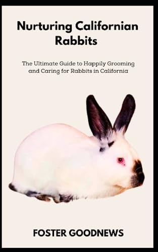 Californian Rabbits Information