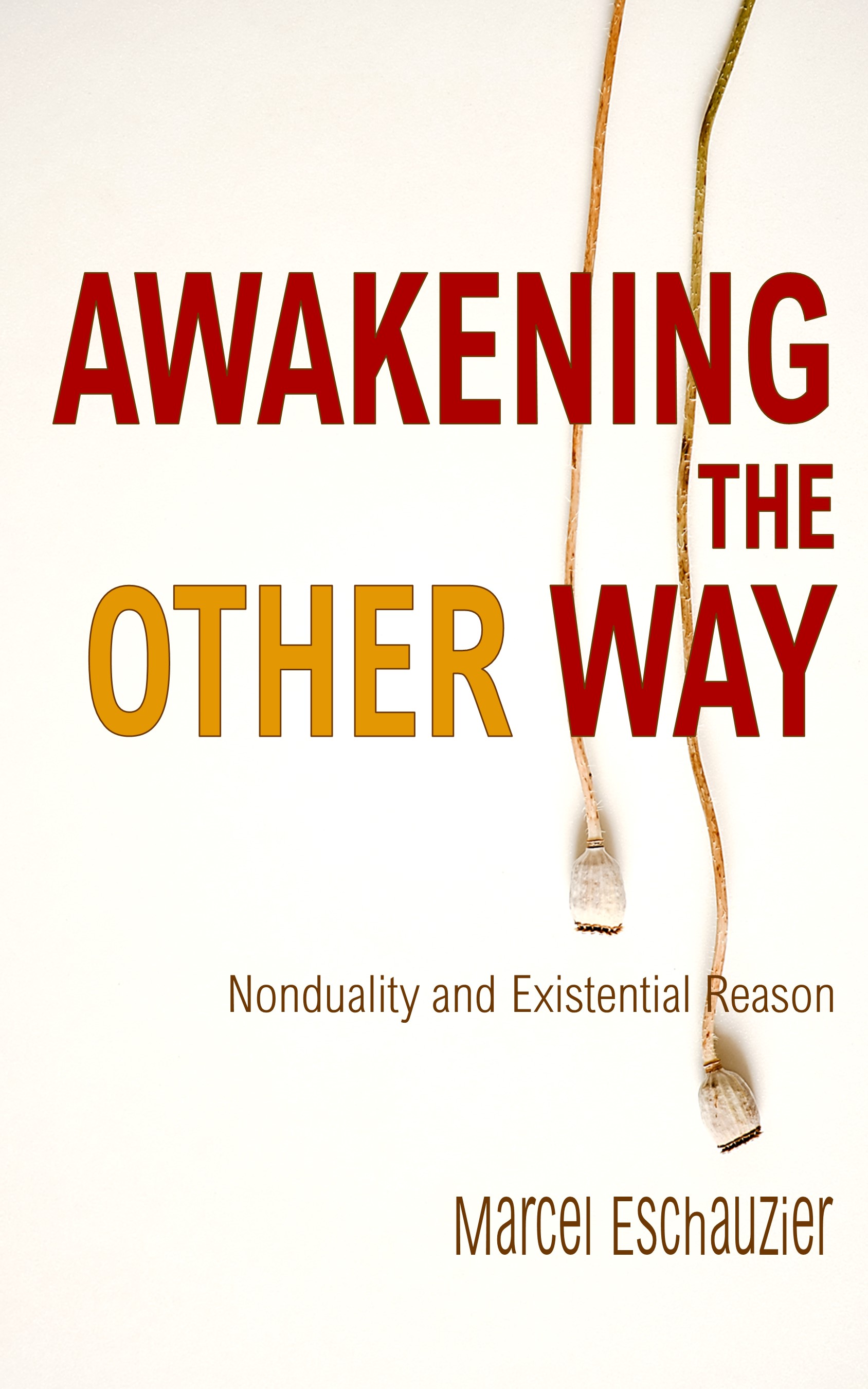 Awakening the Other Way: Nonduality and Existential Reason