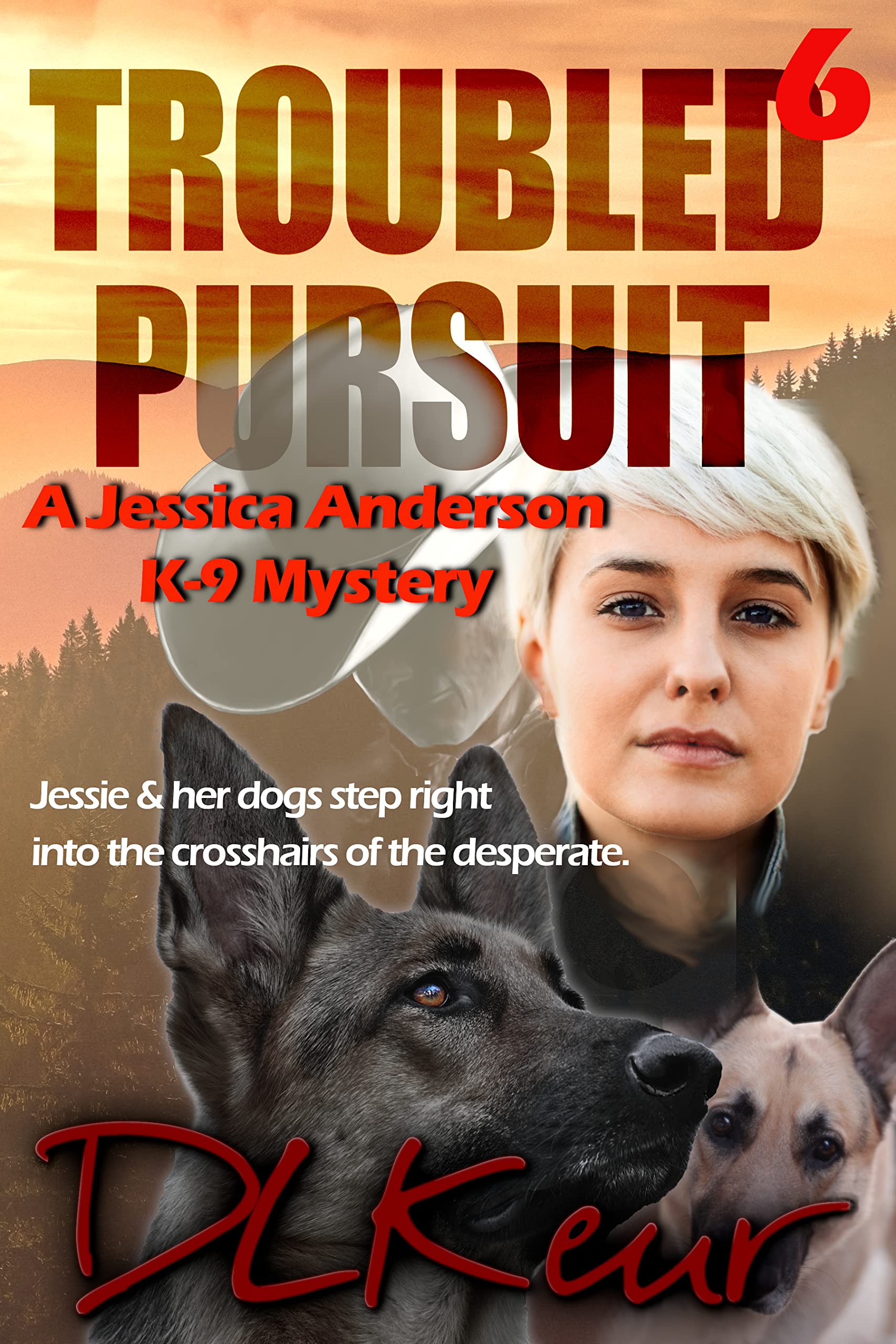 Troubled Pursuit