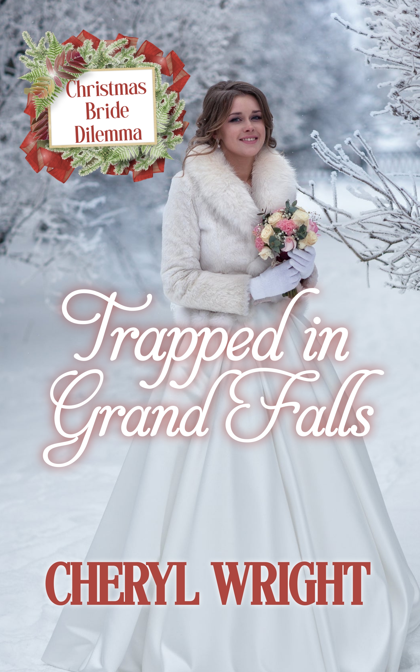 Trapped in Grand Falls book cover