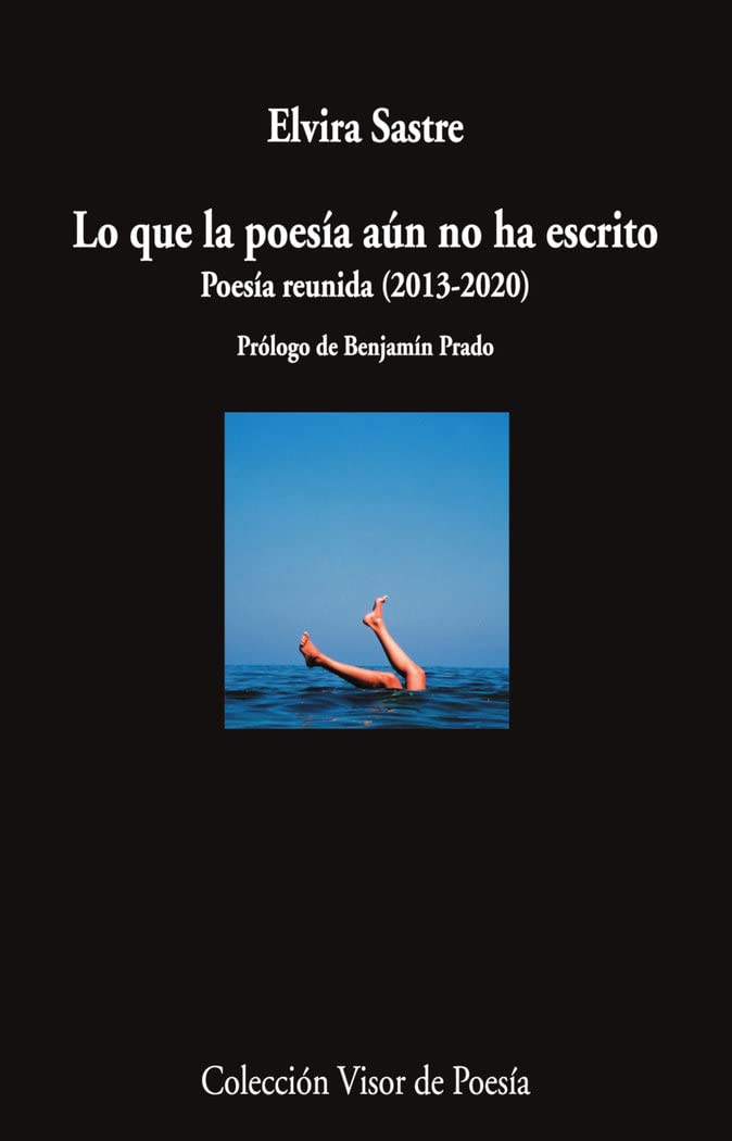 Lo que la poesía aún no ha escrito book cover