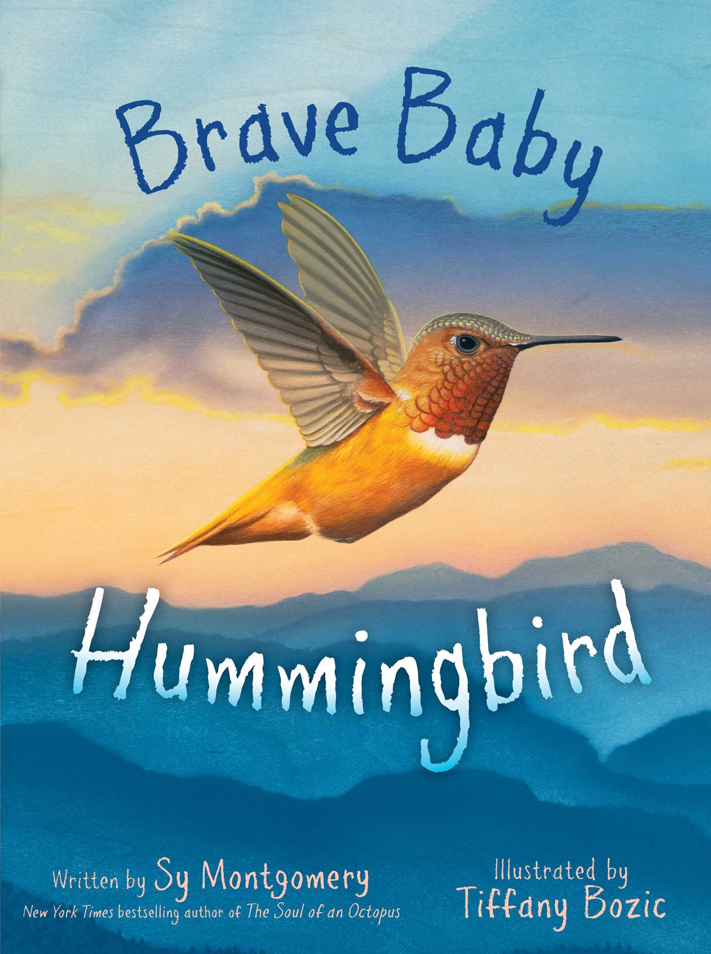 Brave Baby Hummingbird book cover