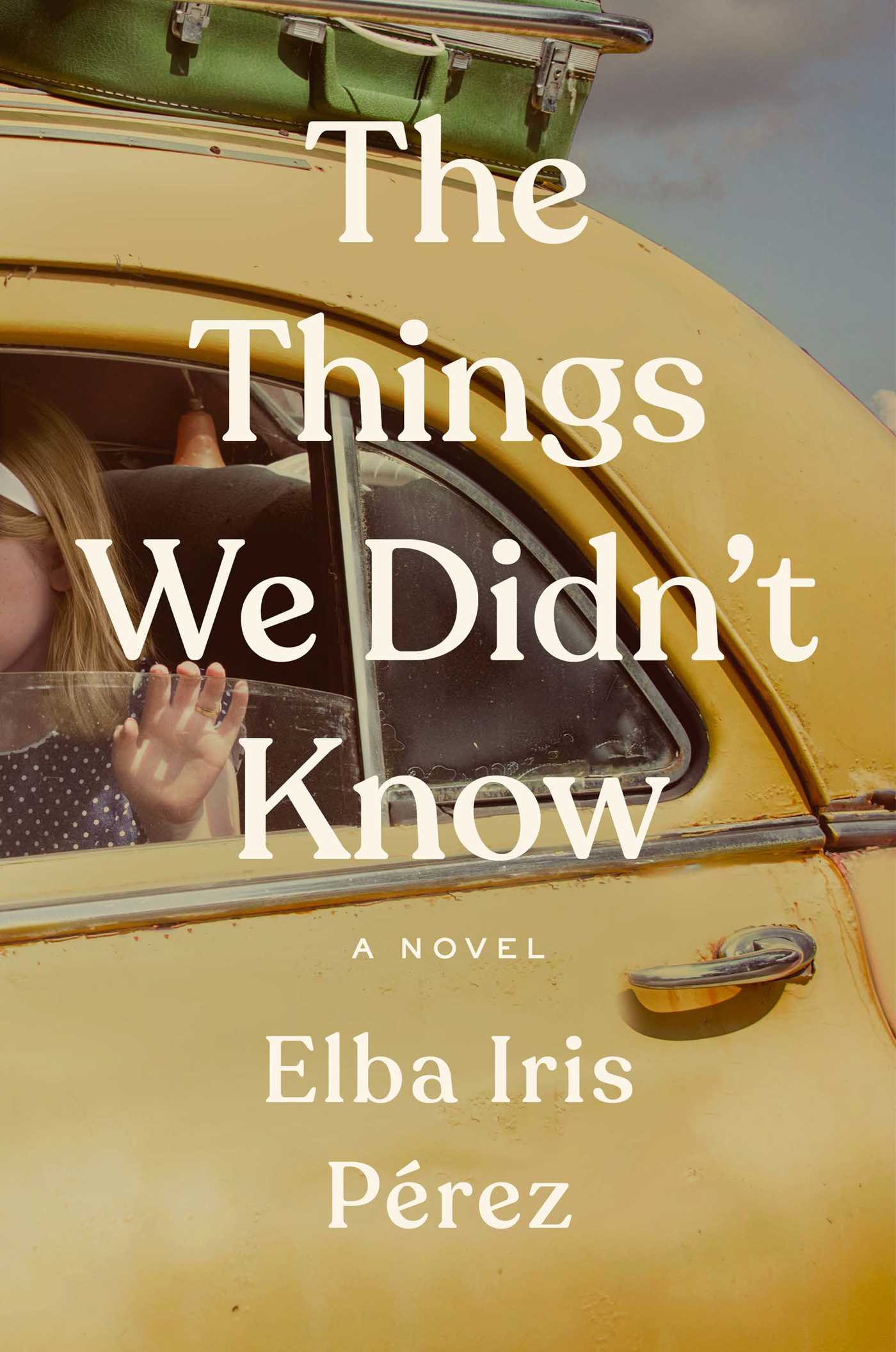 The Things We Didn't Know cover