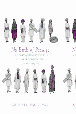 No Birds of Passage book cover
