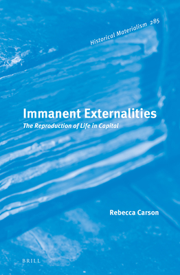 Immanent Externalities book cover